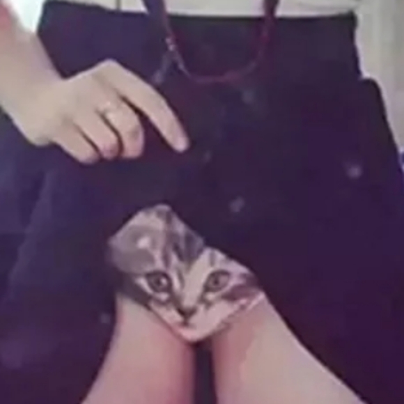 Fun Pussy cat - Picture 4 of 4